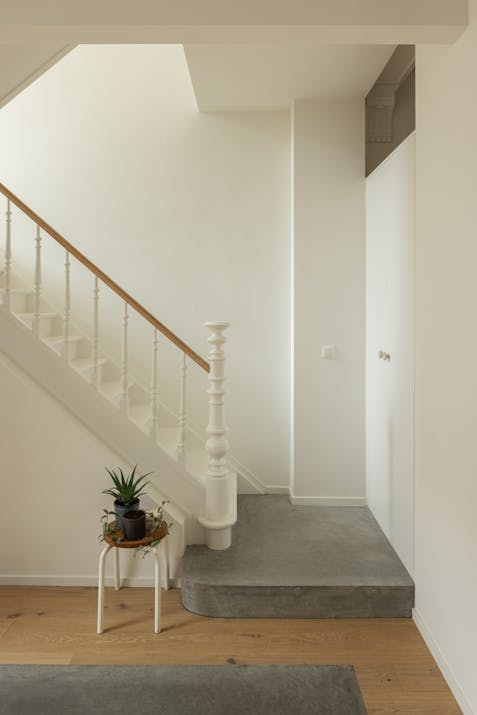 ©Tim Van de Velde