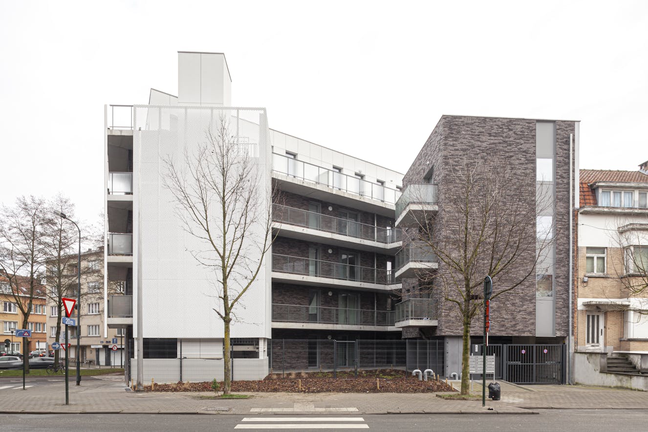 IMPULS(E) LEMON TREE GARDENS