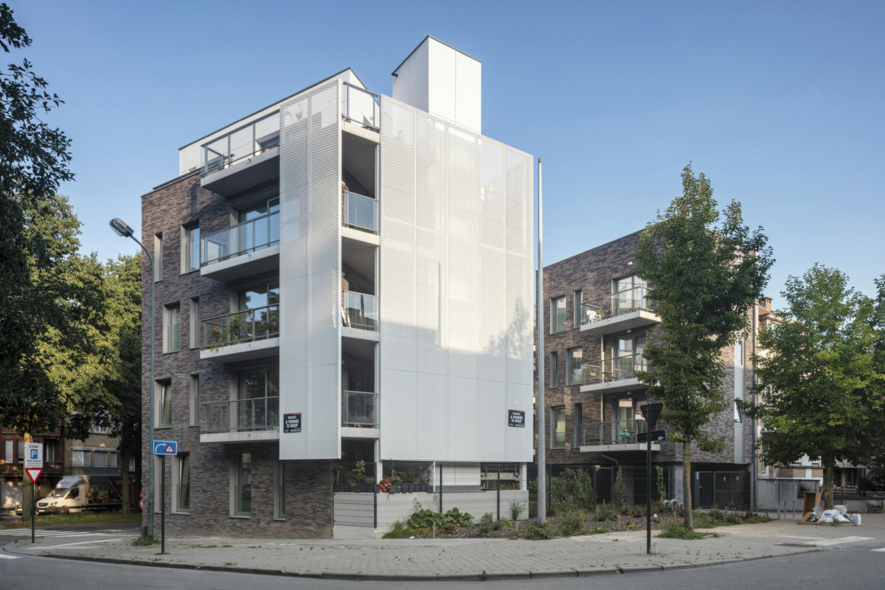 IMPULS(E) LEMON TREE GARDENS